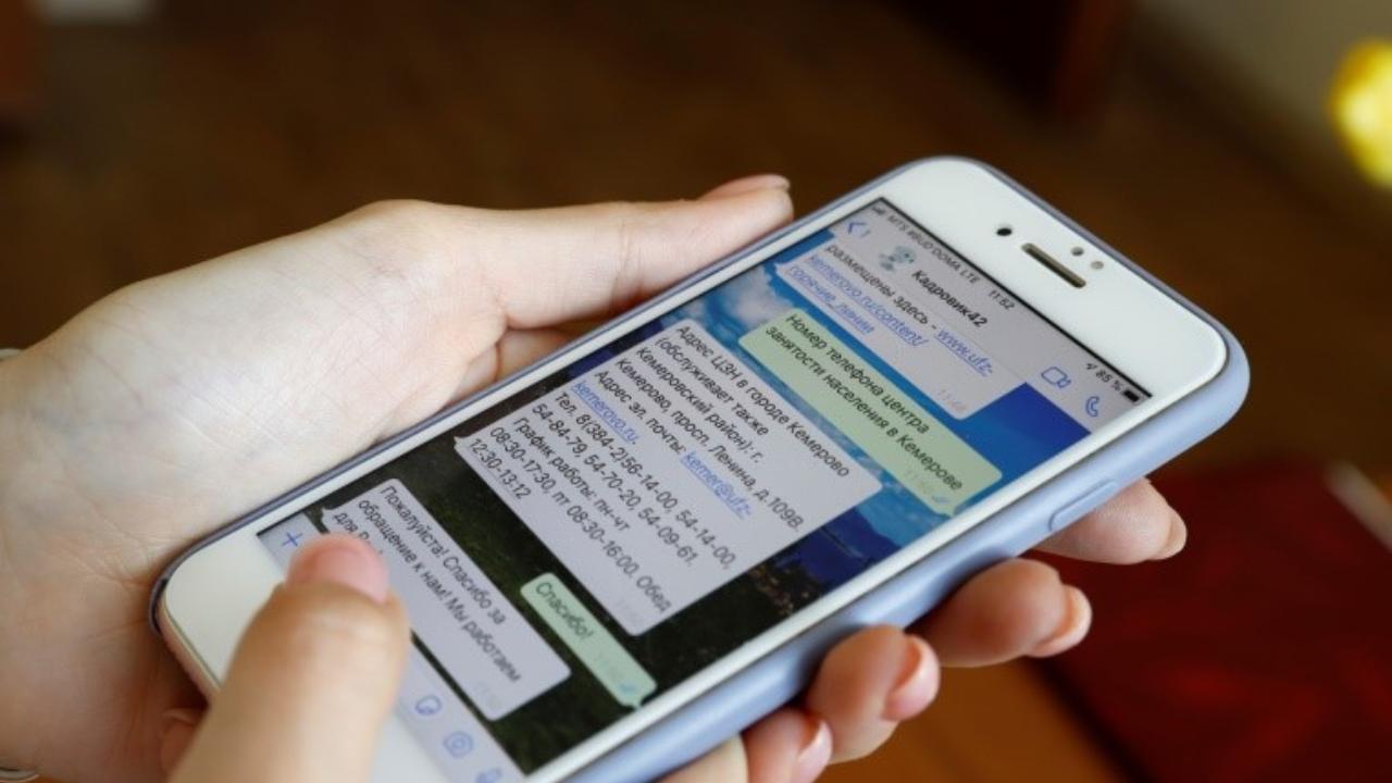 Чат-бот помогает безработным