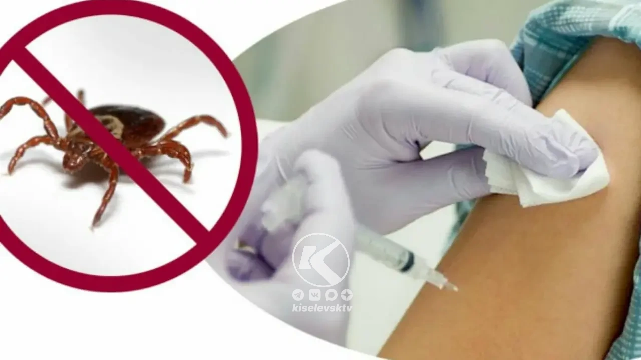 Киселевские медики выполнили план по вакцинации от клещевого энцефалита