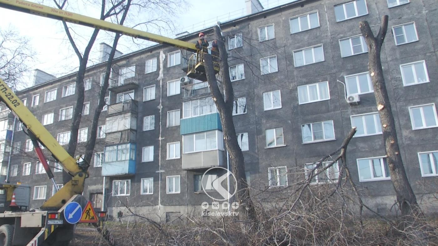 В Киселёвске продолжается работа по сезонной опиловке деревьев
