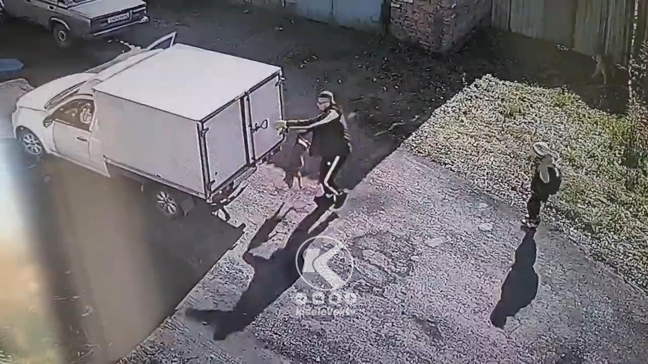 В собак не стреляли, а усыпляли. В полиции рассказали подробности случая "отстрела" бродячей собаки