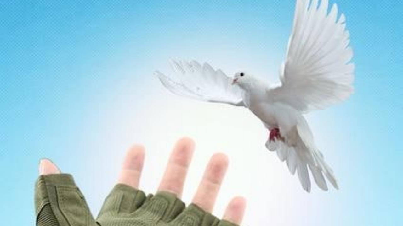 Защита России и Донбасса