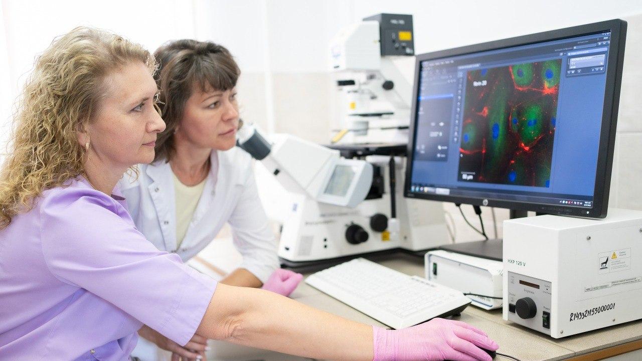 Ученые Кузбасса и Донбасса запускают совместный инновационный проект в области медицины