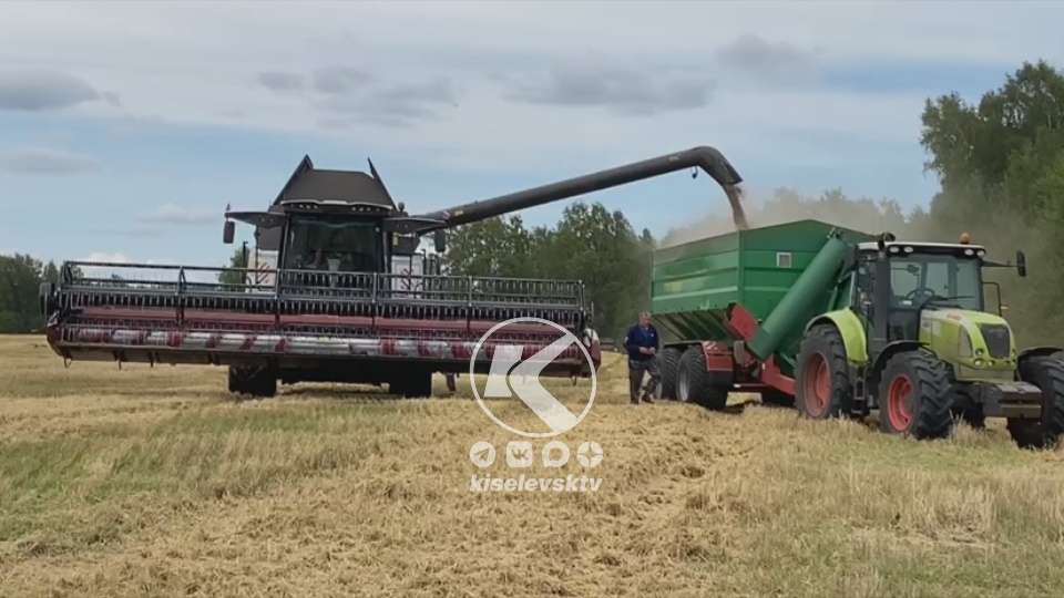 Кузбасс уже обеспечил себя хлебом