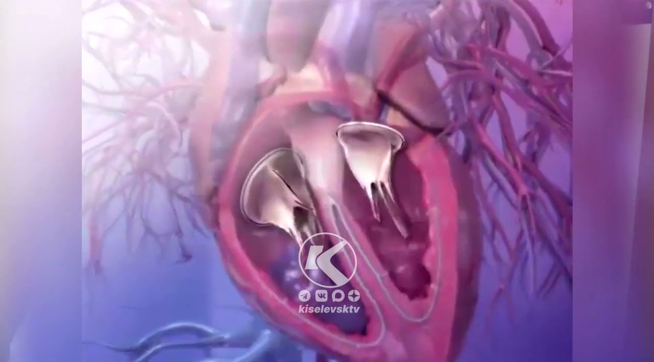 Неделя ответственного отношения к сердцу