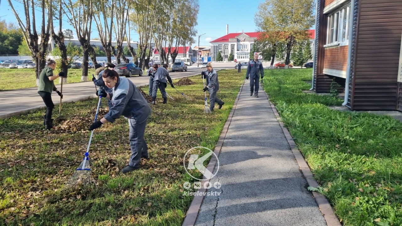 Убери желтый лист. В Киселевске состоялся субботник